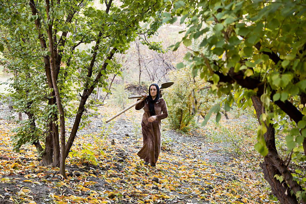 a farmer, returns from working in the fields in northern Iraqi Kurdistan near the border with Iran