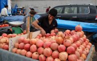 Fruit sellers in Iraq