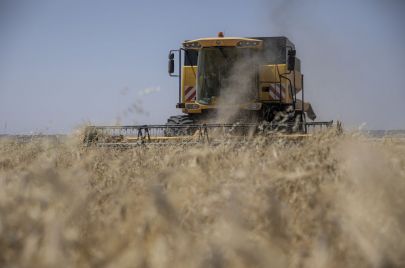 حرائق الحنطة في العراق