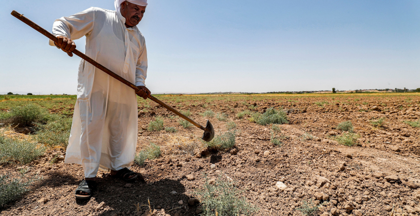 الزراعة في العراق