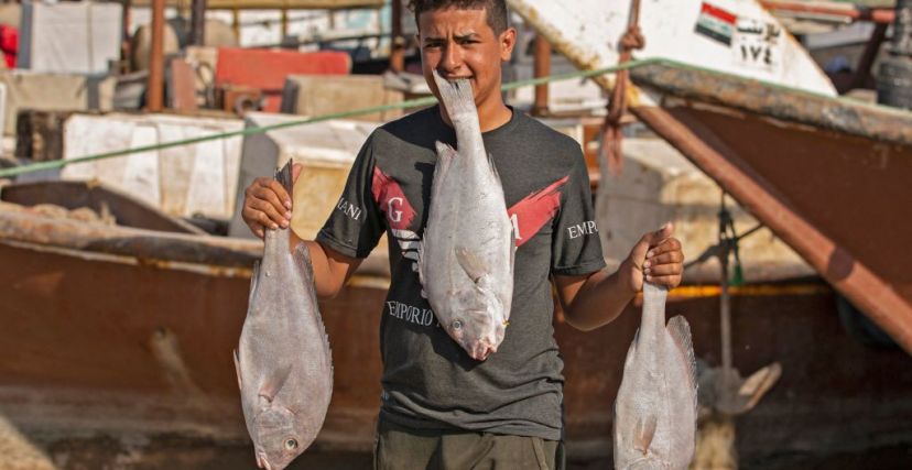 الأسماك في العراق